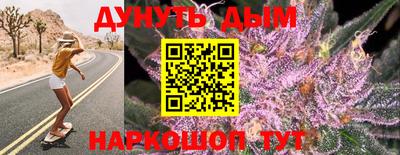 гидропоника Будённовск