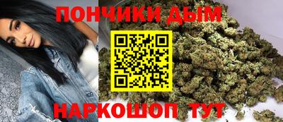 гидропоника Будённовск